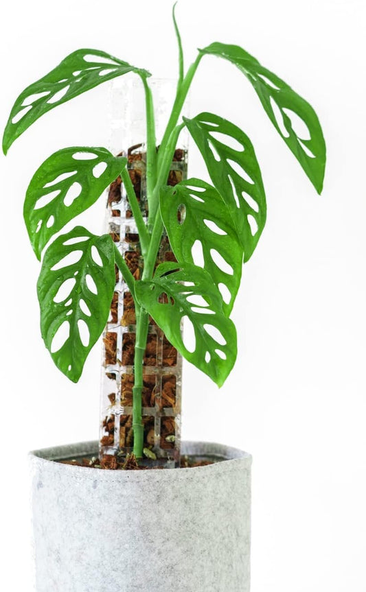 THICCLY Medium 2.0 GrowPole (5 Piece Set) Plastic Moss Poles for Monstera