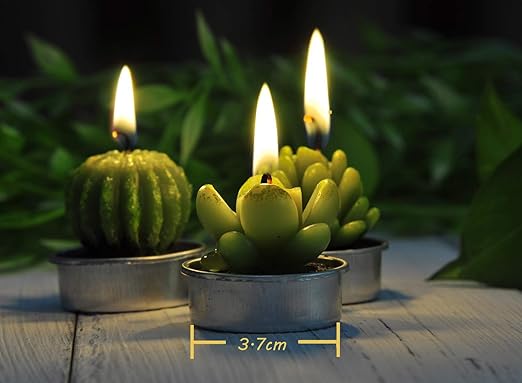 Cactus Candles Tealight Smokeless (Cactus Candles 12)