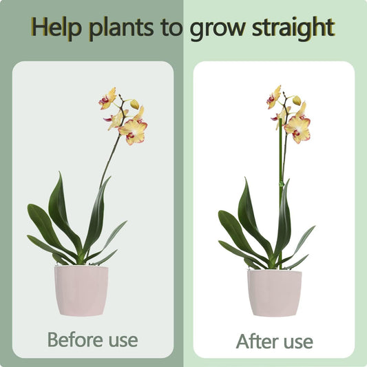 Garden Green Bendable Single Stem Plant Support Stakes,20Pcs Plant Sticks