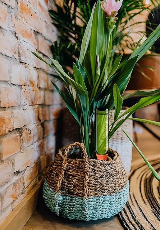 Plant Watering Stakes 6 Pack Automatic Plant Waterers for Vacations