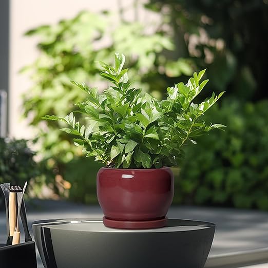 Ceramic Planter for Indoor Plants Outdoor, Round Planter with Drainage Hole