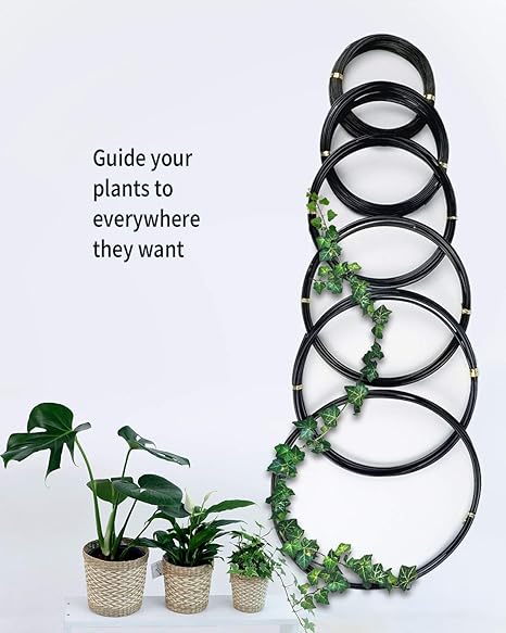 Bonsai Wire