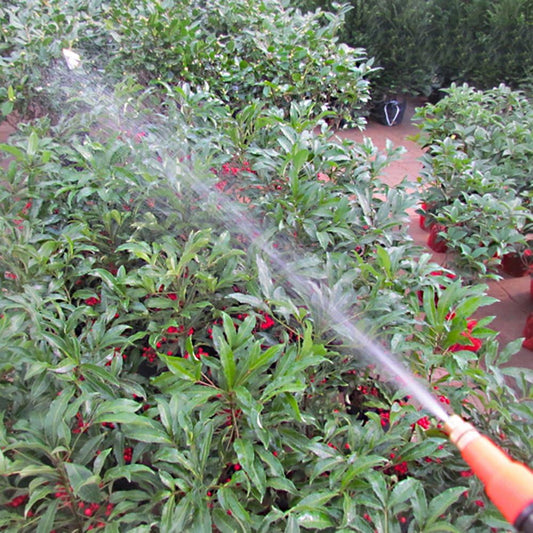 Hand Pressure Sprayer