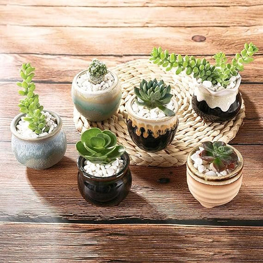 T4U Small Ceramic Succulent Pots with Drainage Set of 12, Mini Pots for Plants