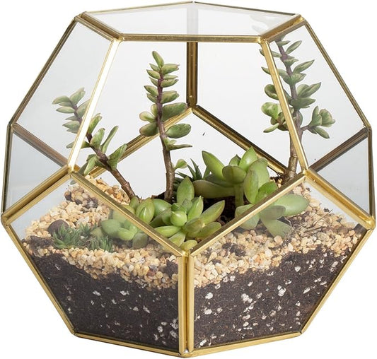 Brass Glass Pentagon Regular Dodecahedron Geometric Terrarium Container