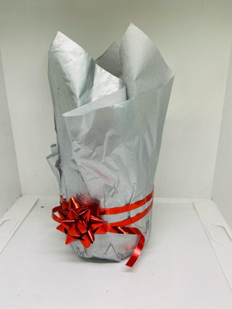 Rhipsalis Mesembryanthemoides - A Captivating and Unique