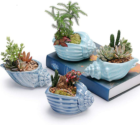 Plant Pots - Ocean Series Ceramic Base Serial Set of 4