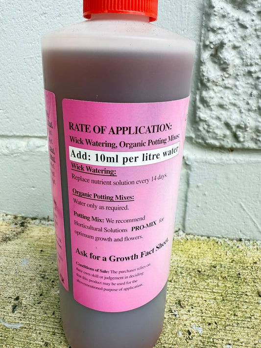 African Violet Delight – Growth and Flower Fertilizer-1L