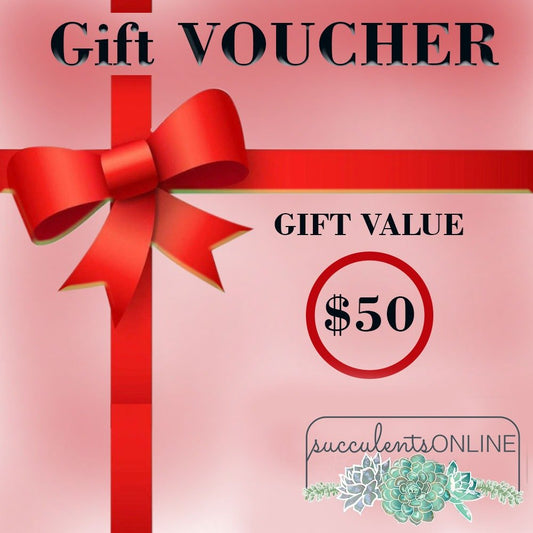 Succulents Online - Special Gift Voucher
