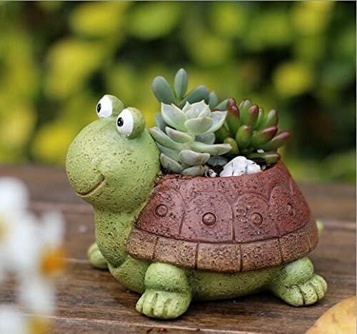 potted plant animal Buy Tortoise Cartoon Succulent Pot