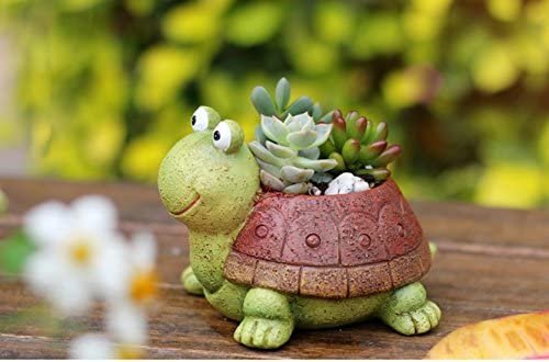 Cute Animal Shaped Cartoon Succulent Pot (Plant Pots - Tortoise)