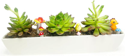 11inch Long Rectangle White Ceramic Succulent Planter Pots/Mini Flower Plant Containers with Bamboo Saucers. Product Size:11x2.36x1.77inch,not Include The Plant. (Long Rectangle)