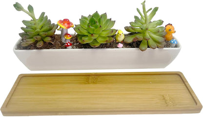 11inch Long Rectangle White Ceramic Succulent Planter Pots/Mini Flower Plant Containers with Bamboo Saucers. Product Size:11x2.36x1.77inch,not Include The Plant. (Long Rectangle)