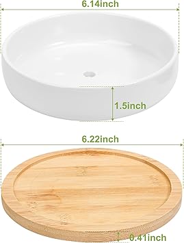 Succulent Planters with Drainage and Tray