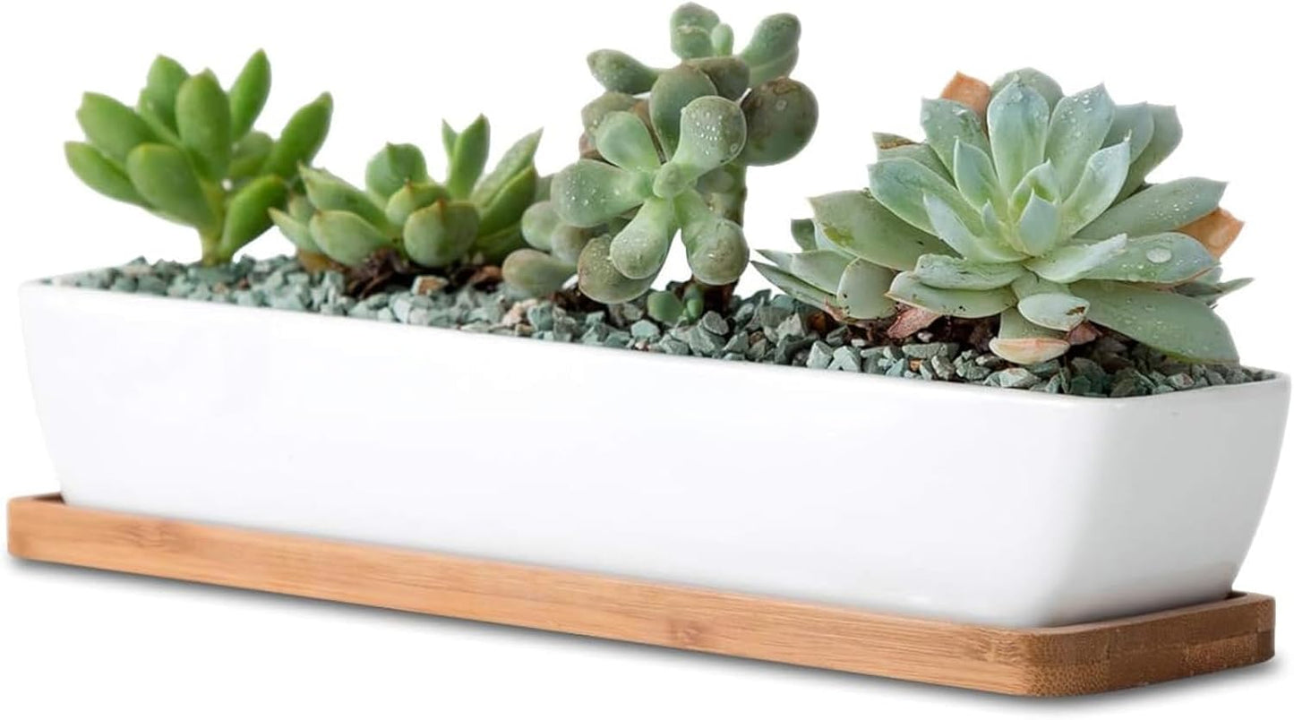 11inch Long Rectangle White Ceramic Succulent Planter Pots/Mini Flower Plant Containers with Bamboo Saucers. Product Size:11x2.36x1.77inch,not Include The Plant. (Long Rectangle)