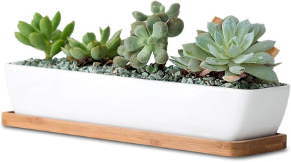 11inch Long Rectangle White Ceramic Succulent Planter Pots/Mini Flower Plant Containers with Bamboo Saucers. Product Size:11x2.36x1.77inch,not Include The Plant. (Long Rectangle)