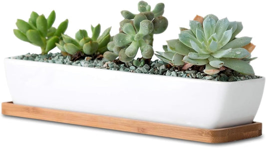 11inch Long Rectangle White Ceramic Succulent Planter Pots/Mini Flower Plant Containers with Bamboo Saucers. Product Size:11x2.36x1.77inch,not Include The Plant. (Long Rectangle)