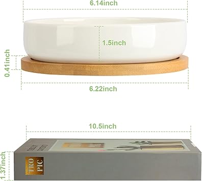 Succulent Planters with Drainage and Tray