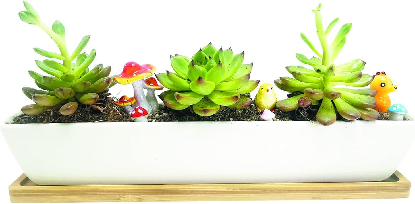 11inch Long Rectangle White Ceramic Succulent Planter Pots/Mini Flower Plant Containers with Bamboo Saucers. Product Size:11x2.36x1.77inch,not Include The Plant. (Long Rectangle)