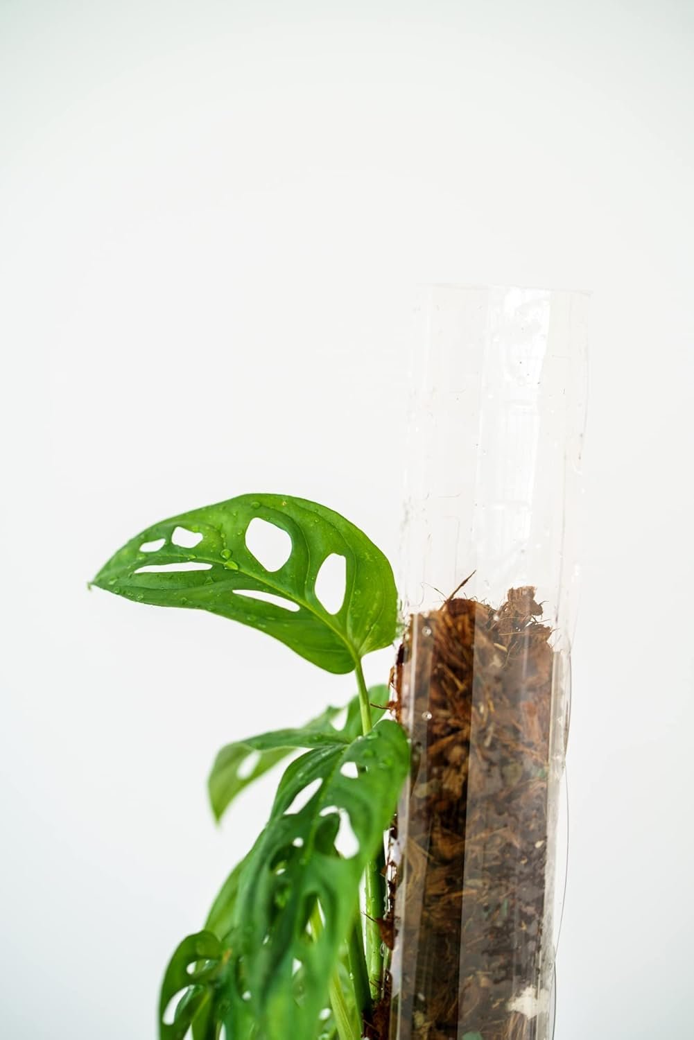 thiccly moss pole Buy Thiccly Growpole Set