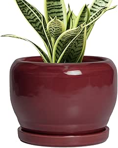 Ceramic Planter for Indoor Plants Outdoor, Round Planter with Drainage Hole