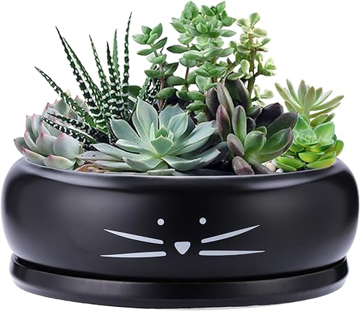 Koolkatkoo 8 Inch Cat Ceramic Succulent Planter Pot with Drainage Hole