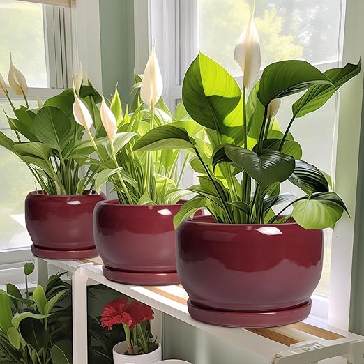 Ceramic Planter for Indoor Plants Outdoor, Round Planter with Drainage Hole