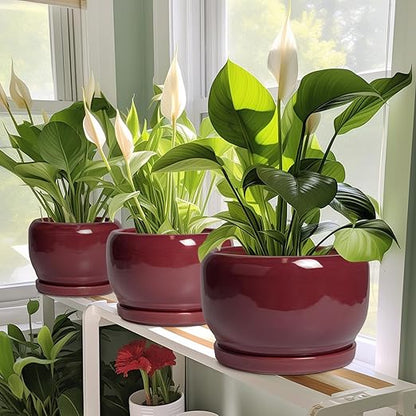 Ceramic Planter for Indoor Plants Outdoor, Round Planter with Drainage Hole