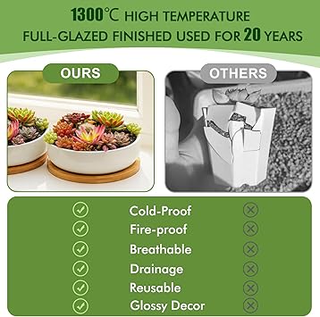 Succulent Planters with Drainage and Tray