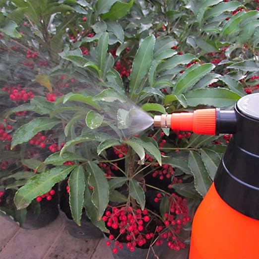 Hand Pressure Sprayer