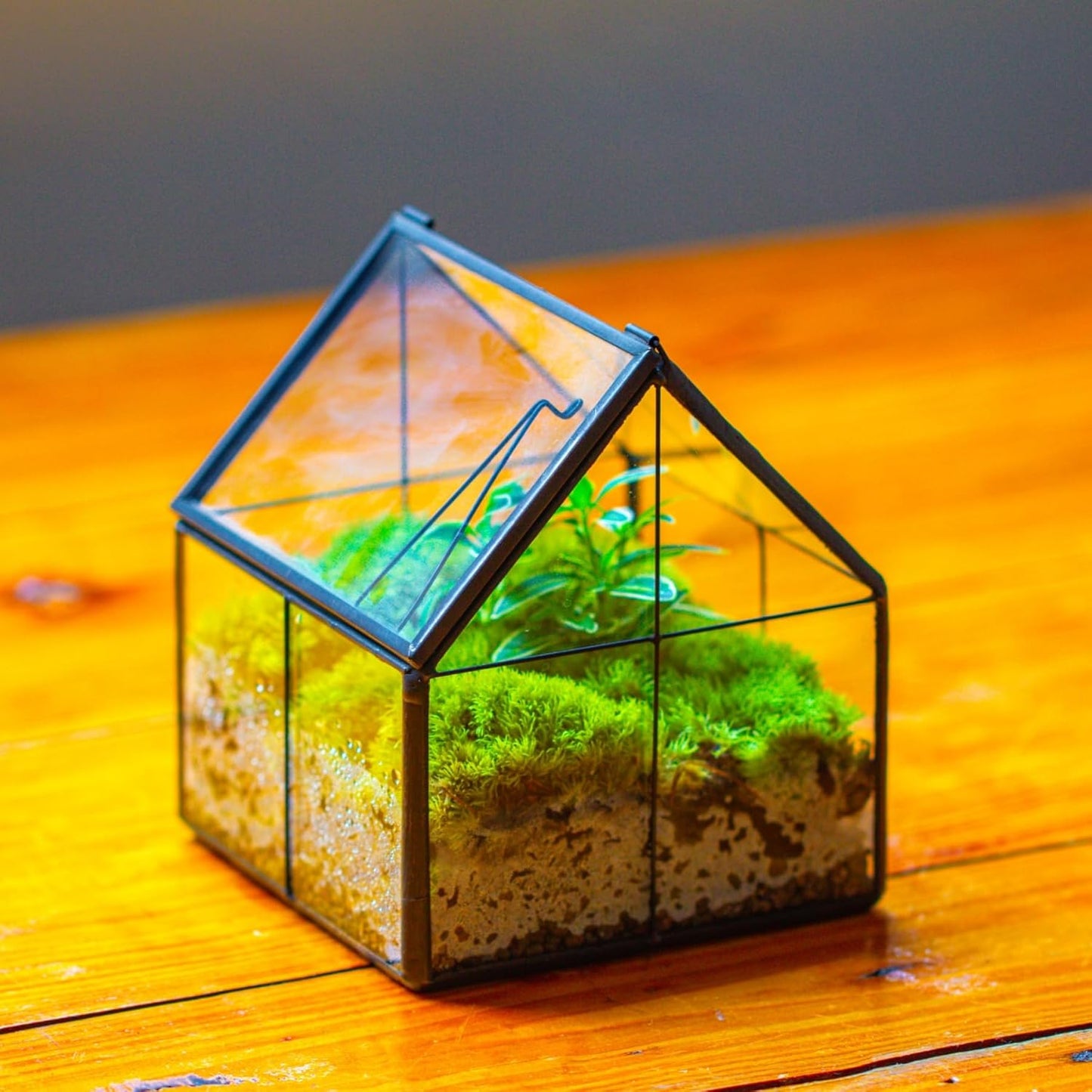 NCYP Mini Glass Geometric Terrarium with Lid - 4.25" x 4.25" x 4.92" Small House Shape Close Planter Pot for Succulents Plant - Handmade, Home Garden Office Tabletop Decor, Black (Terrarium Only)