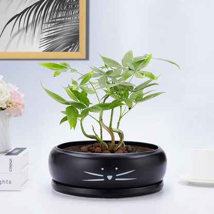 Koolkatkoo 8 Inch Cat Ceramic Succulent Planter Pot with Drainage Hole