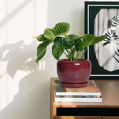 Ceramic Planter for Indoor Plants Outdoor, Round Planter with Drainage Hole