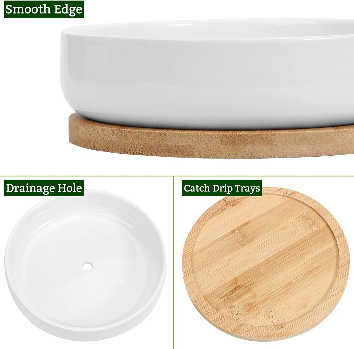 Succulent Planters with Drainage and Tray