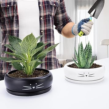 Koolkatkoo 8 Inch Cat Ceramic Succulent Planter Pot with Drainage Hole