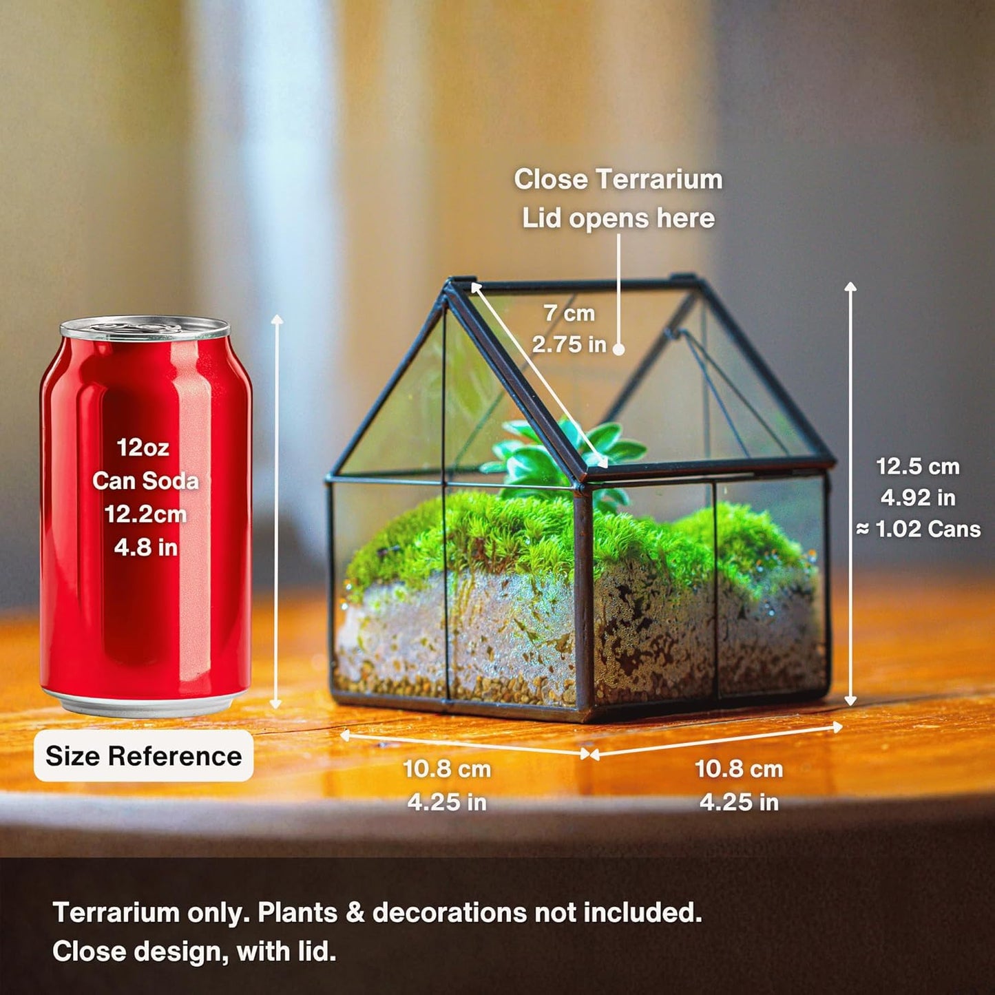 NCYP Mini Glass Geometric Terrarium with Lid - 4.25" x 4.25" x 4.92" Small House Shape Close Planter Pot for Succulents Plant - Handmade, Home Garden Office Tabletop Decor, Black (Terrarium Only)
