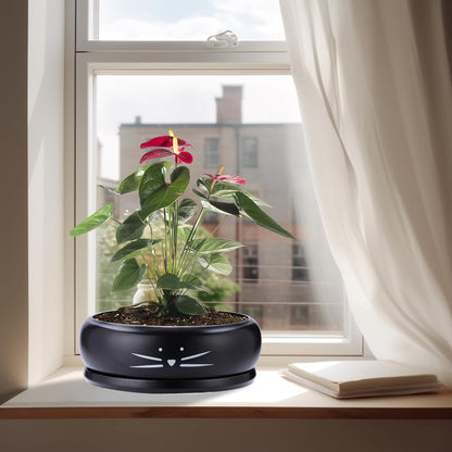 Koolkatkoo 8 Inch Cat Ceramic Succulent Planter Pot with Drainage Hole