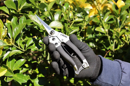 Darlac Compact Snips Delicate & Light Pruning & Topiary Work