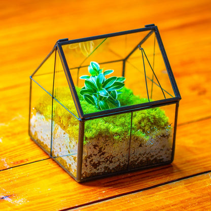 NCYP Mini Glass Geometric Terrarium with Lid - 4.25" x 4.25" x 4.92" Small House Shape Close Planter Pot for Succulents Plant - Handmade, Home Garden Office Tabletop Decor, Black (Terrarium Only)