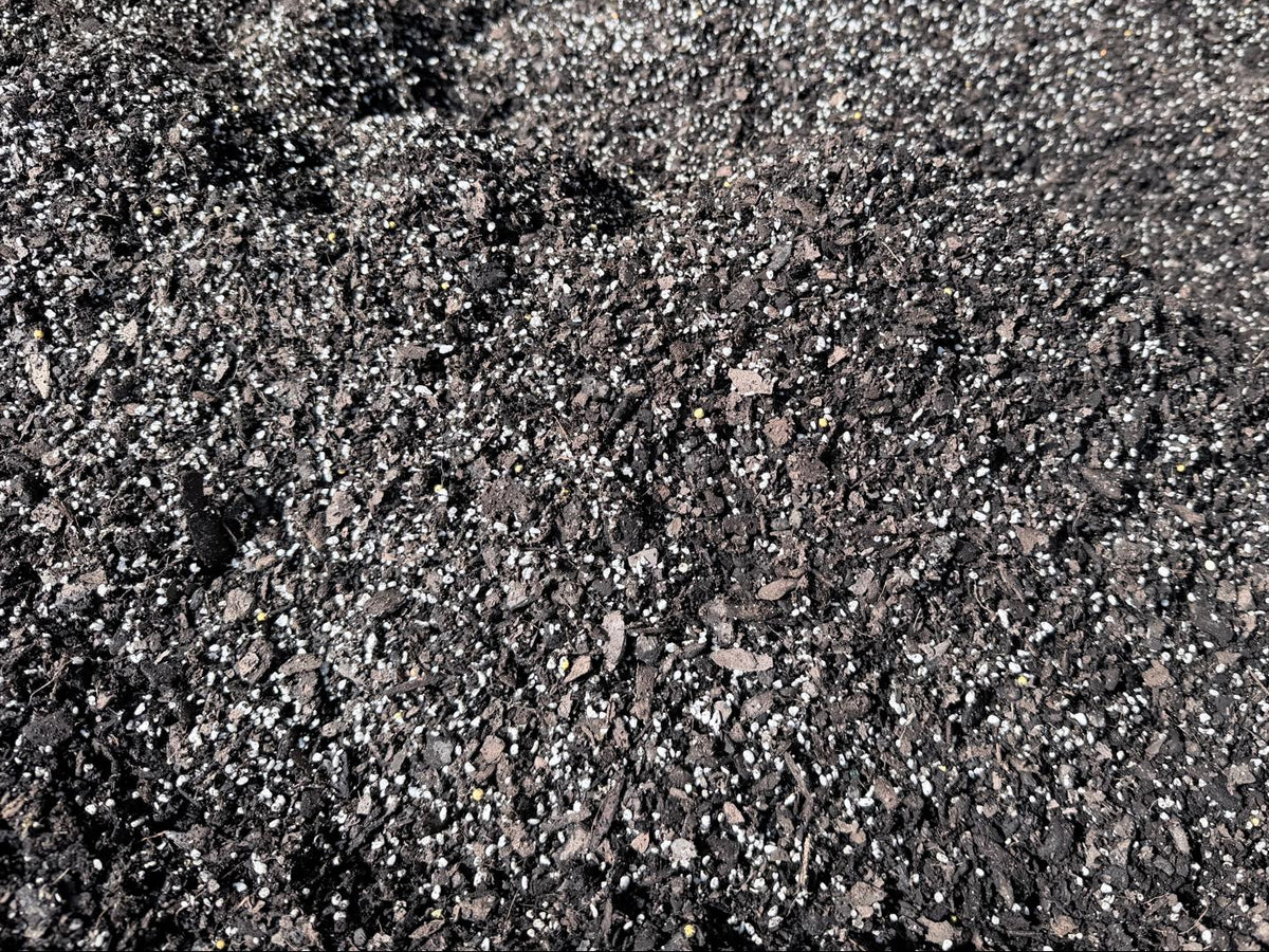 Premium Potting Mix for Agave, Succulents & Cacti