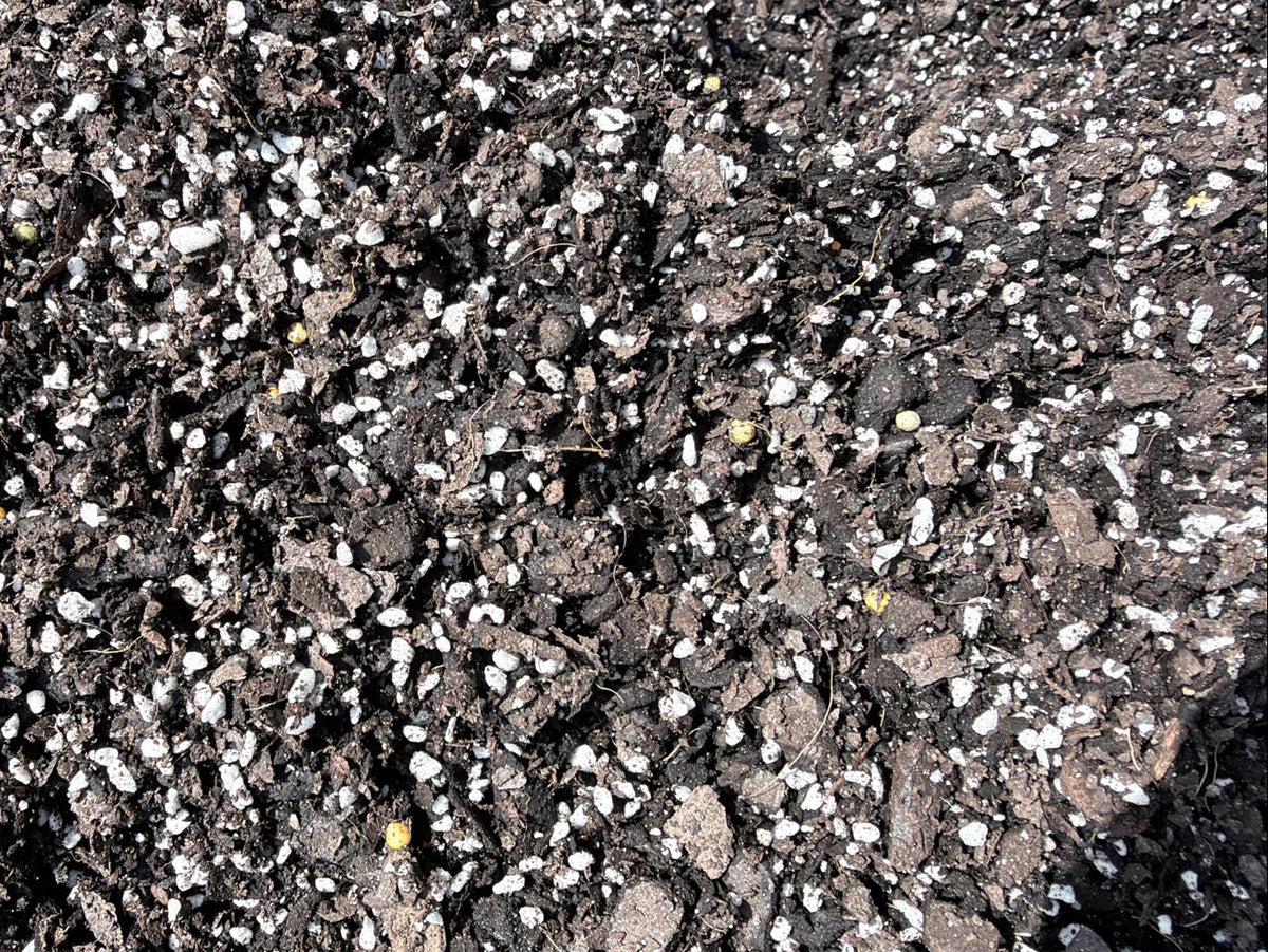 Premium Potting Mix for Agave, Succulents & Cacti