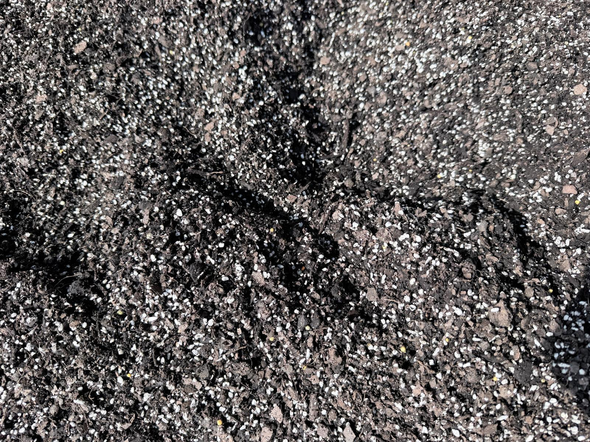 Premium Potting Mix for Agave, Succulents & Cacti