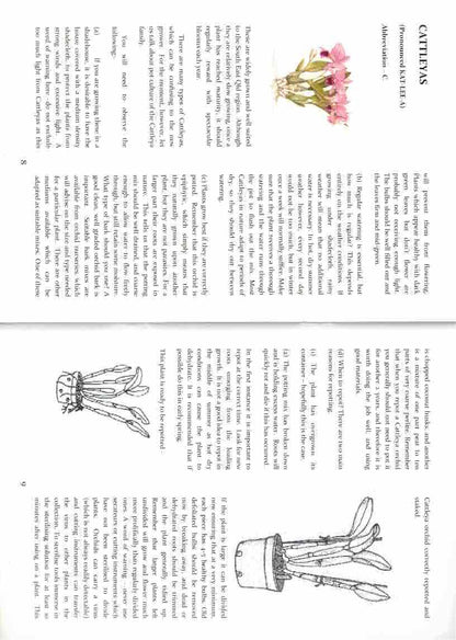Interior pages from beginner orchid book Australia – tips on Cattleya and popular varieties for SEQD.