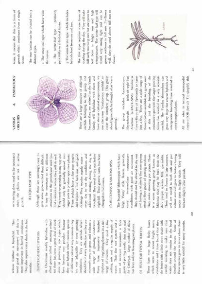 Australian home garden with orchids – inspired by our orchid growing guide for beginners book.