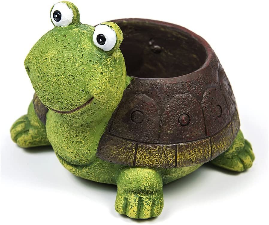 tortoise succulents Buy Tortoise Cartoon Succulent Pot